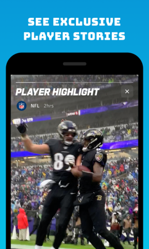NFL Fantasy Football 1