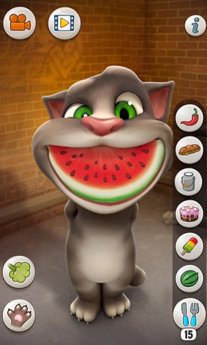 Talking Tom Cat 6
