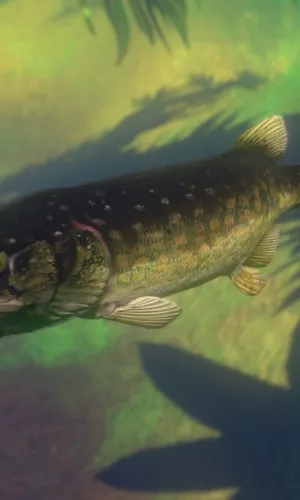 Feed and Grow: Fish 9