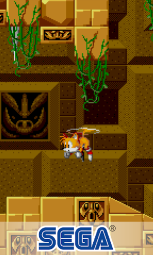 Sonic the Hedgehog™ Classic 12