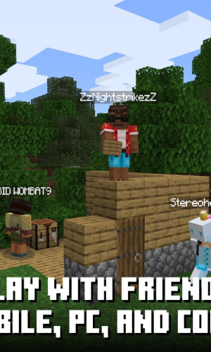 Minecraft 3