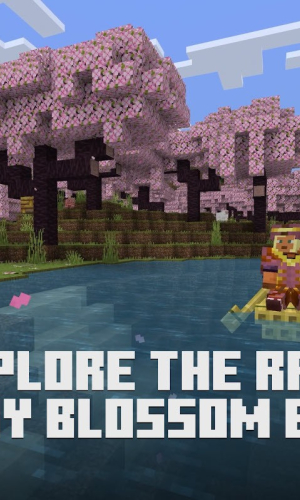 Minecraft 4