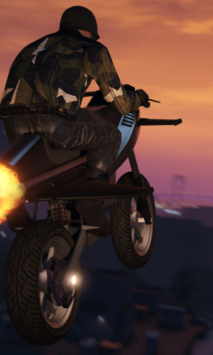 Grand Theft Auto V 33