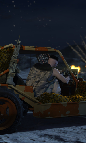 Grand Theft Auto V 36