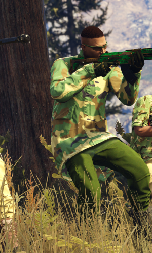 Grand Theft Auto V 37