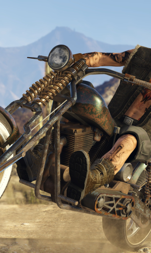 Grand Theft Auto V 49