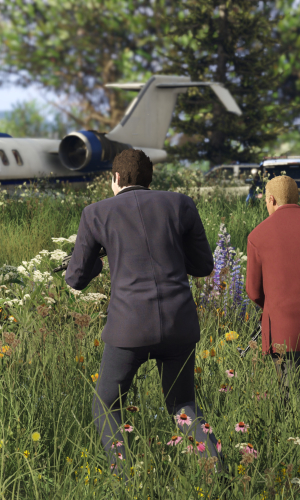 Grand Theft Auto V 54